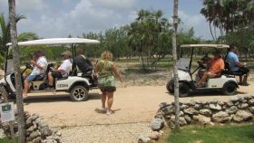 Using golf carts in Belize – Best Places In The World To Retire – International Living